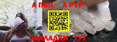 PSILOCYBIN Можга