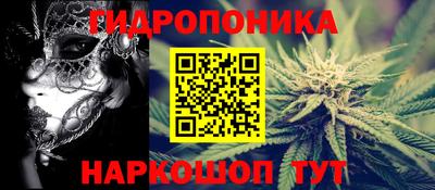 PSILOCYBIN Можга