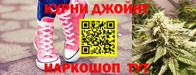 PSILOCYBIN Можга